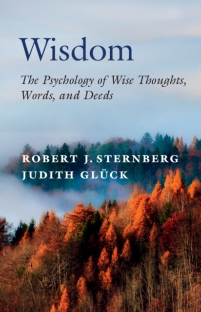 Wisdom : The Psychology of Wise Thoughts, Words, and Deeds (Paperback)