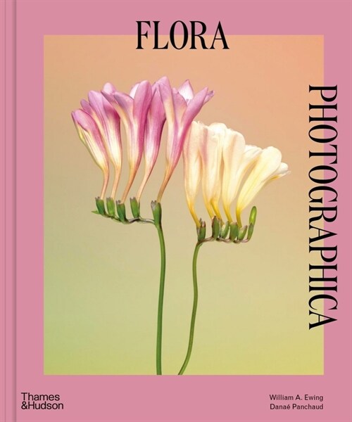 Flora Photographica : The Flower in Contemporary Photography (Hardcover, New Edition)