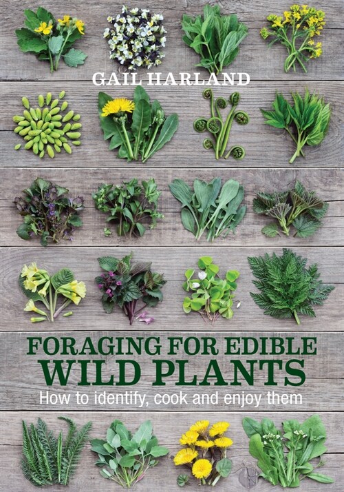 Foraging for Edible Wild Plants : How to Identify, Cook and Enjoy Them (Paperback, 2 ed)