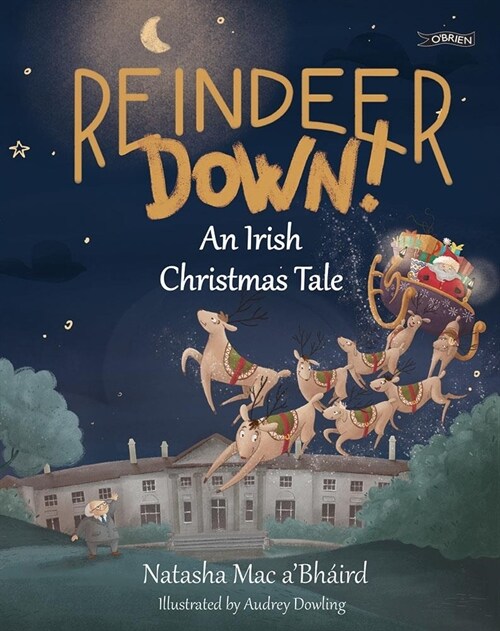 Reindeer Down!: An Irish Christmas Tale (Paperback)