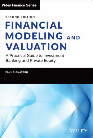 Financial Modeling and Valuation: A Practical Guide to Investment Banking and Private Equity (Hardcover, 2 ed)