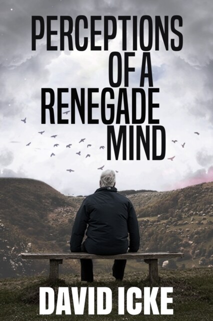 Perceptions Of A Renegade Mind (Paperback)
