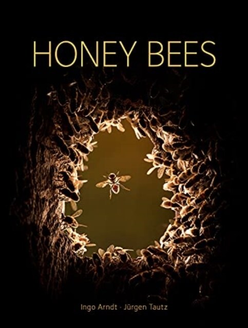 Honey Bees (Hardcover)