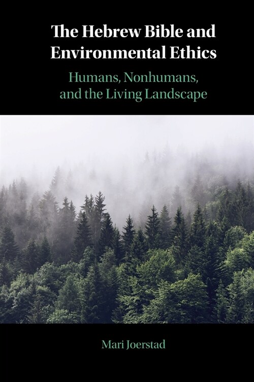 The Hebrew Bible and Environmental Ethics : Humans, NonHumans, and the Living Landscape (Paperback)
