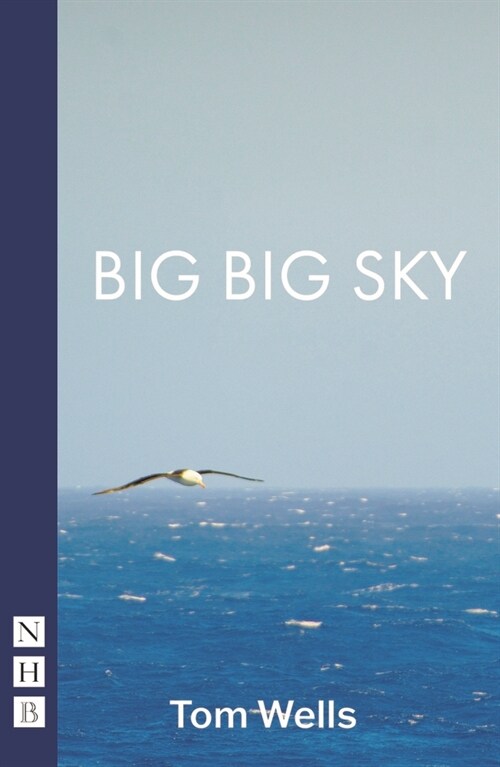 Big Big Sky (Paperback)