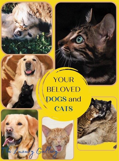 Your Beloved Dogs and Cats: The Best Selection of 50 Dog and Cat Photos by Manhattans Top Photographers (Hardcover)