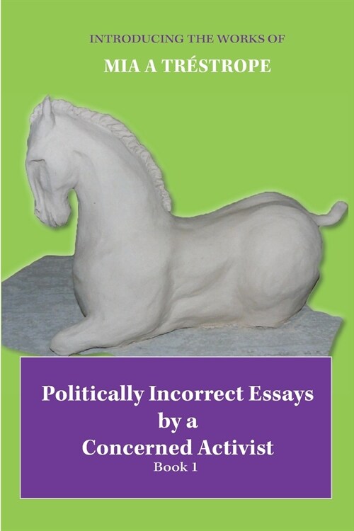 Politically Incorrect Essays by a Concerned Activist: Book 1 (Paperback)