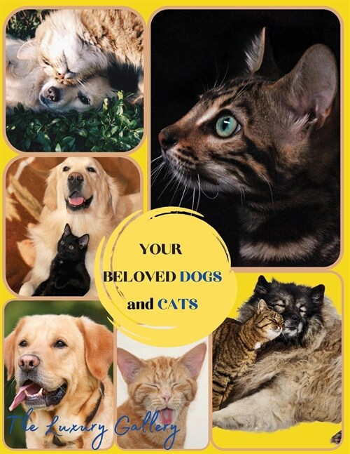Your Beloved Dogs and Cats: The Best Selection of 50 Dog and Cat Photos by Manhattans Top Photographers (Paperback)