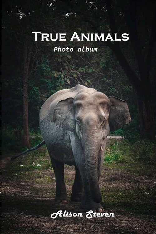 True Animals: Photo album (Paperback)