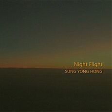 Night Flight Sung Yong Hong