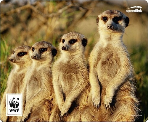SPEEDLINK TERRA WWF Mousepad Erdmannchen (General Merchandise)
