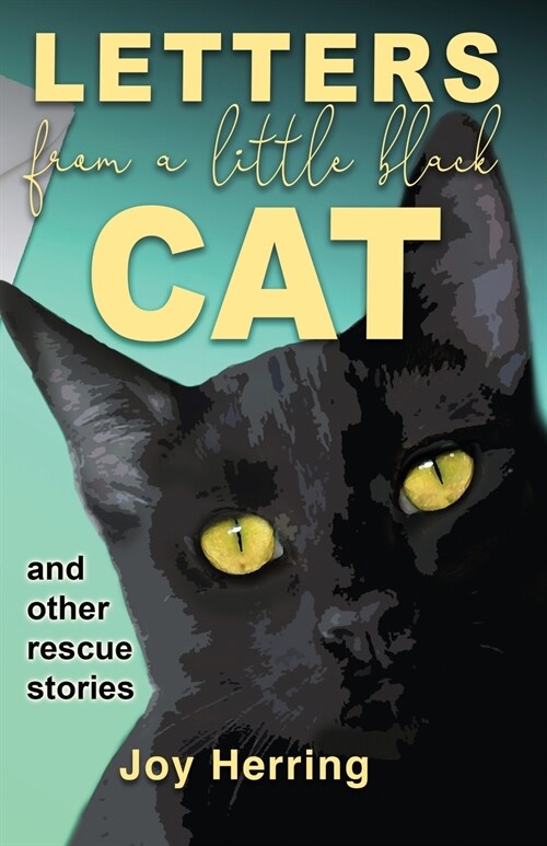 Letters from a Little Black Cat: and other rescue stories (Paperback)