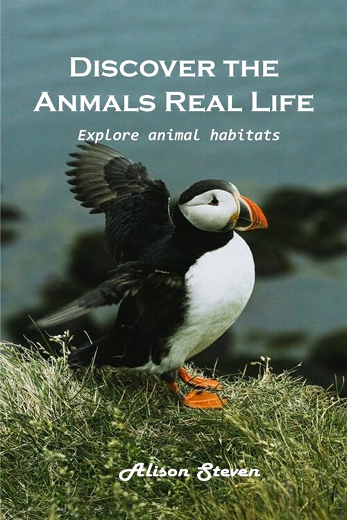 Discover the animals real life Explore: Explore animal habitats (Paperback)