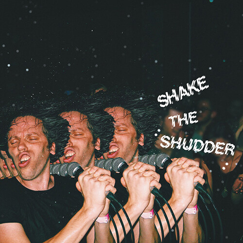 [수입] !!!(Chk Chk Chk) - Shake The Shudder [Transparent 2LP]