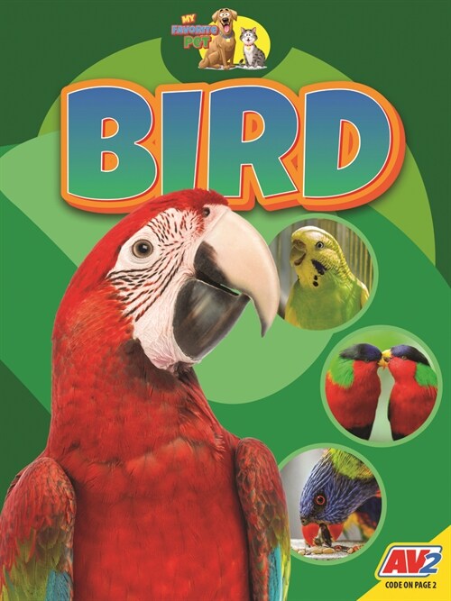 Bird (Paperback)