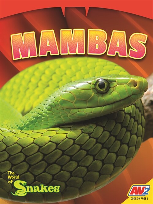 Mambas (Paperback)