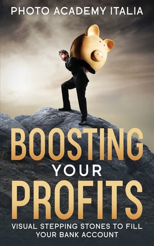 Boosting Your Profits: Visual Stepping Stones to Fill Your Bank Account (Hardcover)