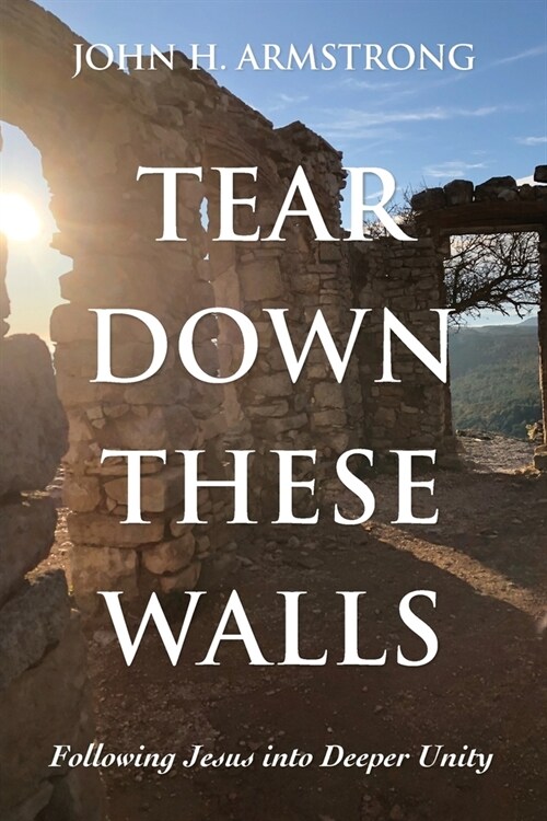 Tear Down These Walls (Paperback)