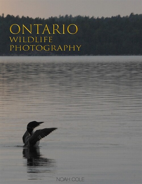 Ontario Wildlife Photography (Hardcover)