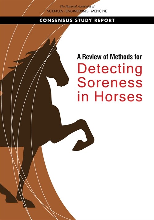 A Review of Methods for Detecting Soreness in Horses (Paperback)