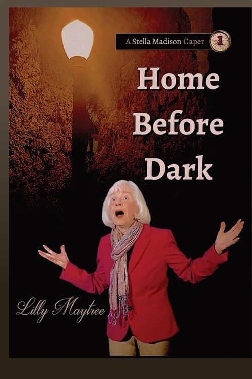 Home Before Dark (Paperback, 2, Lightsmith Publ)