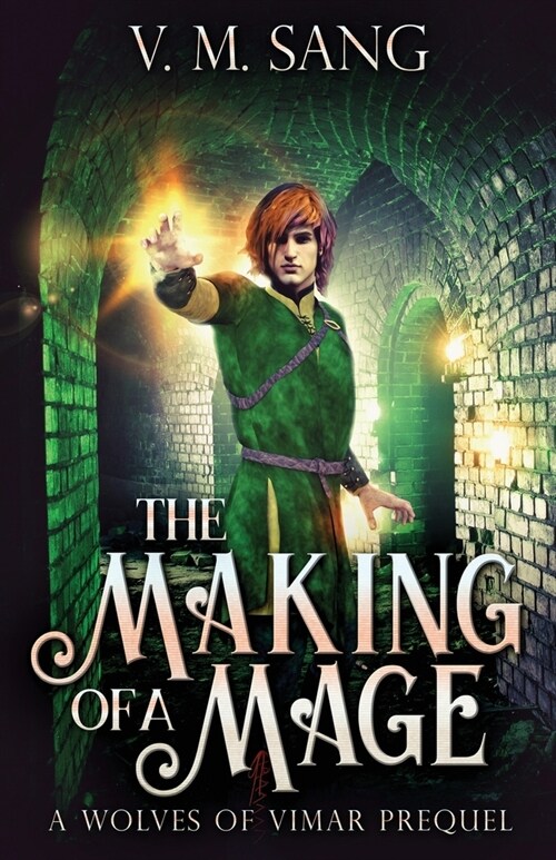 The Making Of A Mage (Paperback)