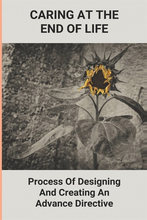 Caring At The End Of Life: Process Of Designing And Creating An Advance Directive: Powerful Affirmation Of Life (Paperback)