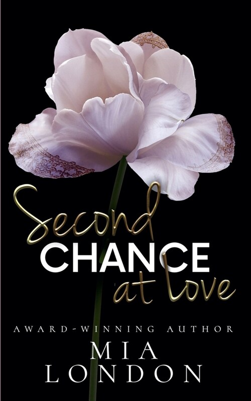Second Chance At Love (Paperback)