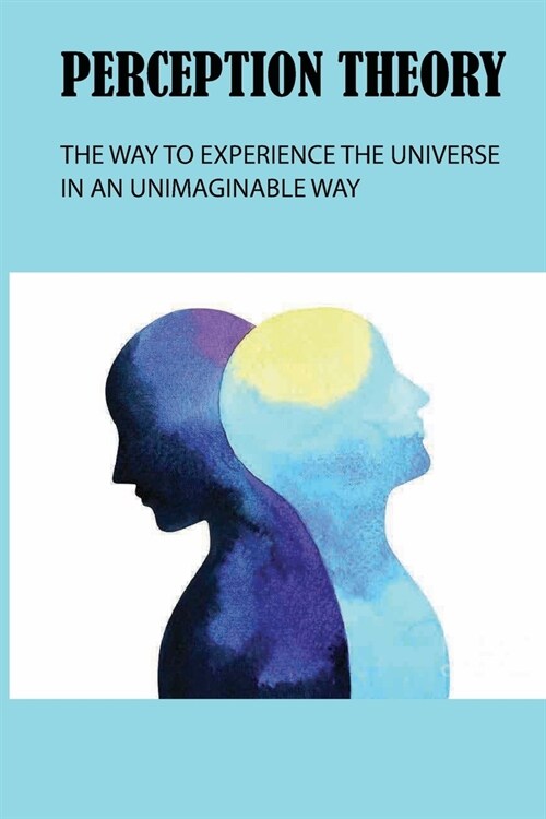 Perception Theory: The Way To Experience The Universe In An Unimaginable Way: Visual Perception (Paperback)