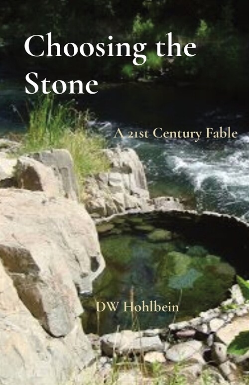 Choosing the Stone: A 21st Century Fable (Paperback)