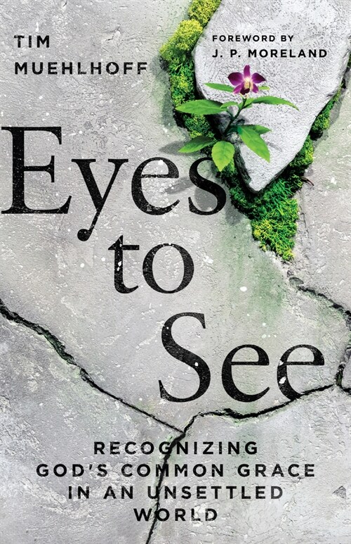 Eyes to See: Recognizing Gods Common Grace in an Unsettled World (Paperback)