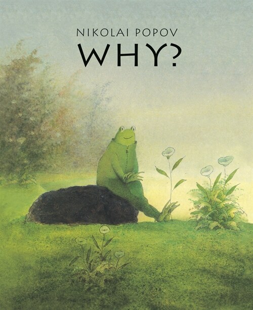 Why?: A Timeless Story Told Without Words (Hardcover)