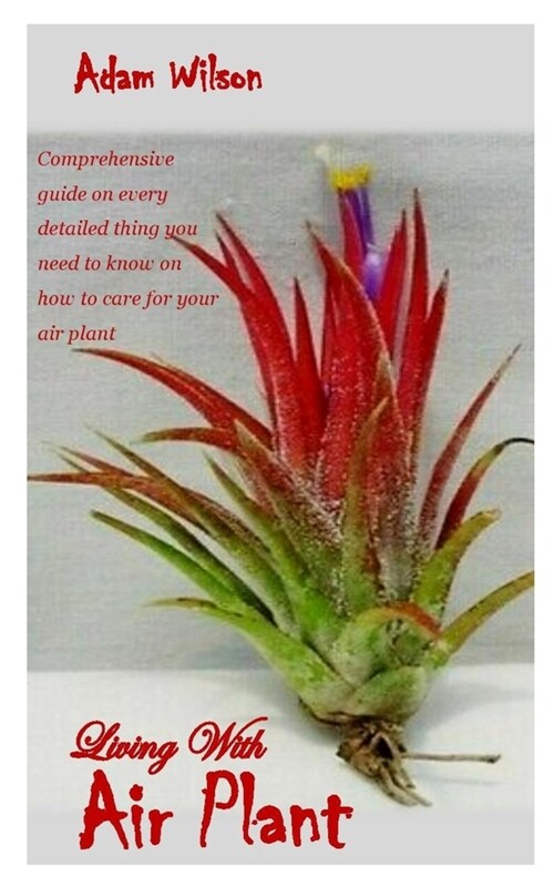 Living with Air Plant: Comprehensive guide on every detailed thing you need to know on how to care for your air plant (Paperback)