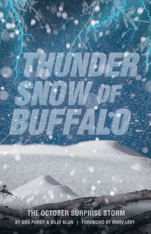 Thunder Snow of Buffalo: The October Surprise Storm (Paperback)