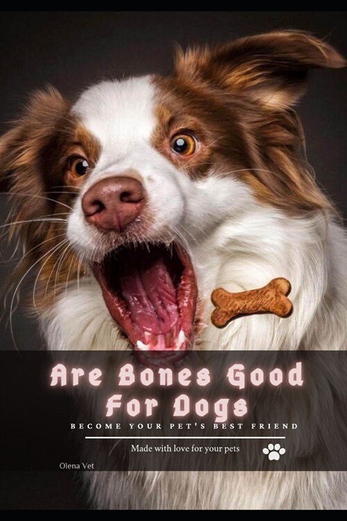 Are Bones Good For Dogs: become your pets best friend (Paperback)