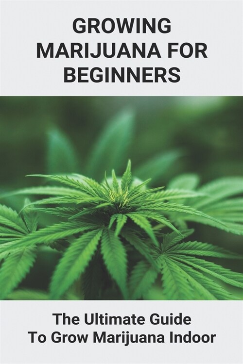 Growing Marijuana For Beginners: The Ultimate Guide To Grow Marijuana Indoor: How To Grow Marijuana Book 2021 (Paperback)