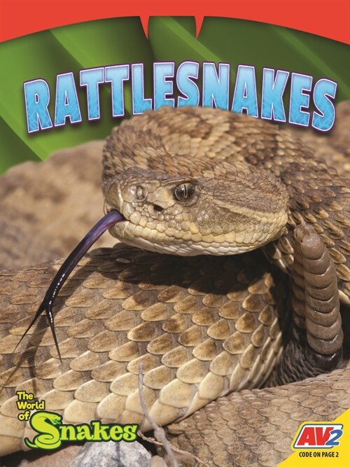 Rattlesnakes (Paperback)