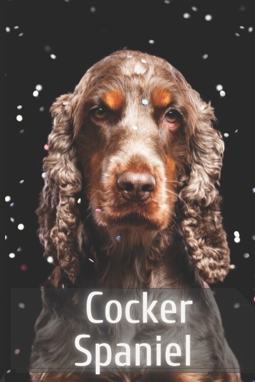 Cocker Spaniel: The Complete Breed Guide (Paperback)