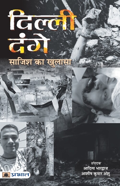 Delhi Dange: Sazish ka Khulasa (Paperback)