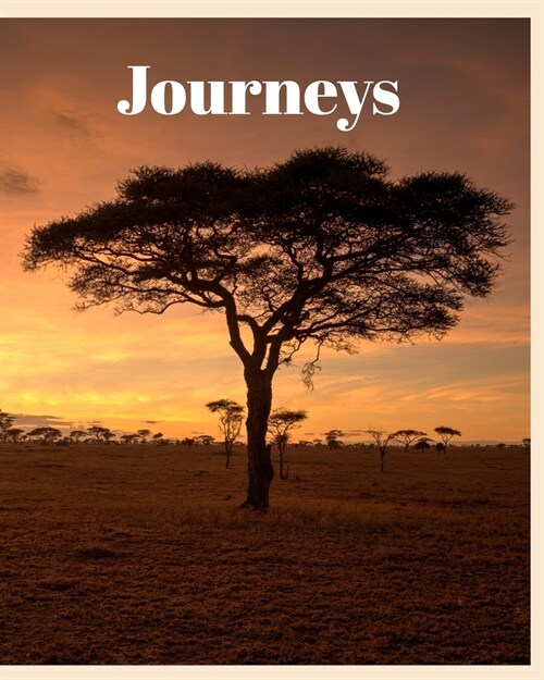 Journeys: Journeys Around the World (Paperback)