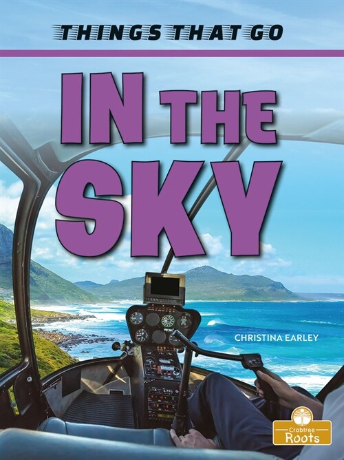 In the Sky (Paperback)