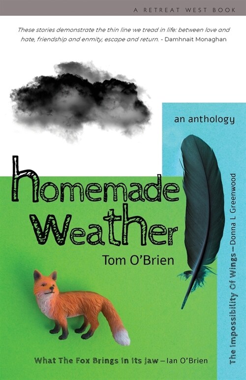 Homemade Weather (Paperback)