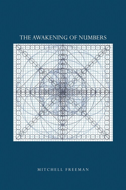 The Awakening of Numbers (Paperback)