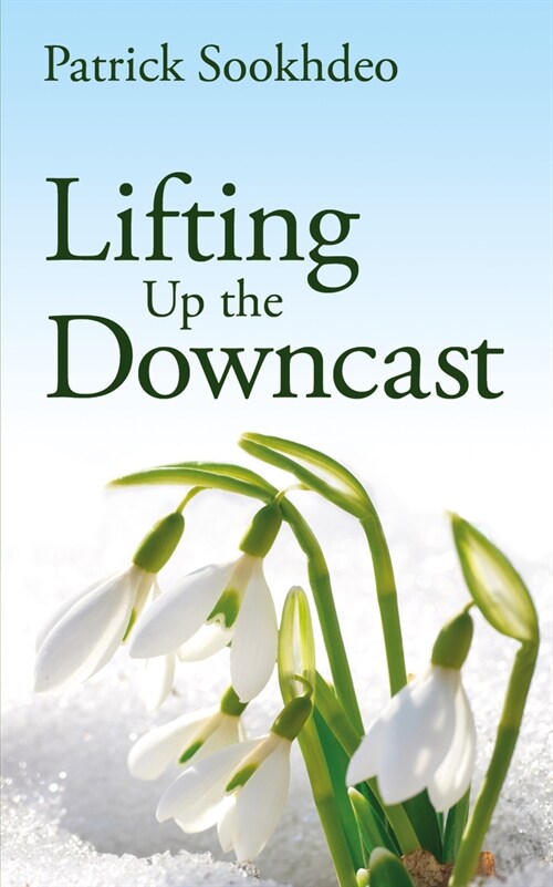 Lifting Up the Downcast (Paperback)