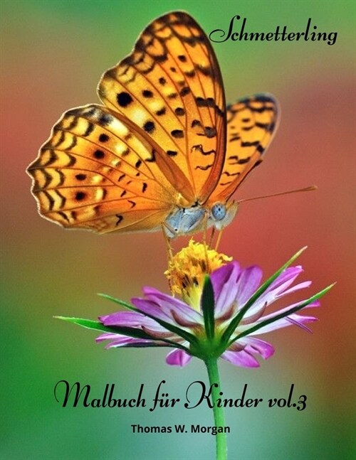 Schmetterling Malbuch f? Kinder vol.3: Kinder F?bung und Aktivit? Buch f? M?chen & Jungen im Alter von 4-10 Amazing Geschenk f? Kinder Sch?e Sc (Paperback)