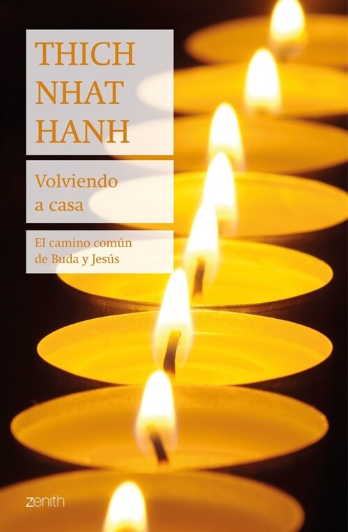 VOLVIENDO A CASA (Hardcover)