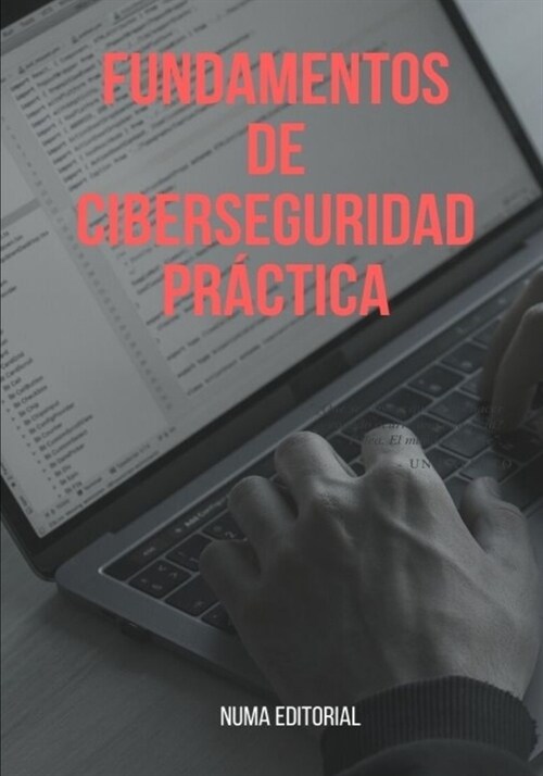 Fundamentos de Ciberseguridad Pr?tica (Paperback)