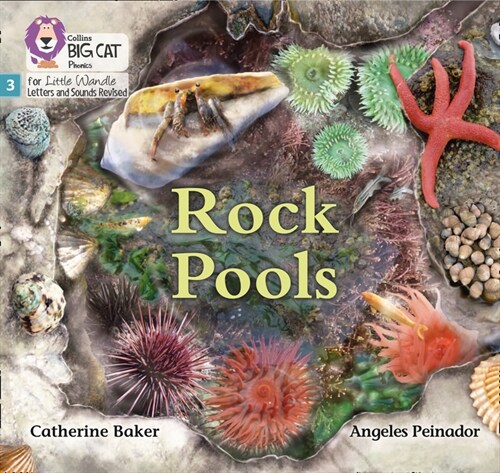 Rock Pools : Phase 3 Set 1 (Paperback)