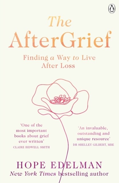The AfterGrief : Finding a Way to Live After Loss (Paperback)