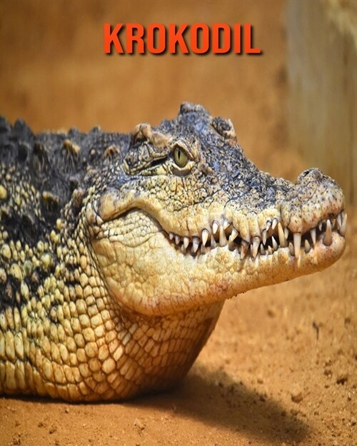 Krokodil : Schoene Bilder & Kinderbuch mit interessanten Fakten uber Krokodil (Paperback)